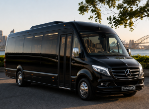 Star-limo-minibus11